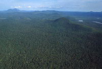 Estas dos serranas, Tunah y Naqun, enfrentan una gran presin por la utilizacin de sus recursos. En los ltimos aos, Tunah ha sido objeto de un permanente proceso de colonizacin relacionado con cultivos ilcitos; Naqun por la extraccin de Oro.