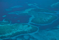 Hace 135 millones de aos, un mar somero inundaba las actuales llanuras del Caribe, parte del Cauca, las cuencas medias y bajas del Magdalena y las altiplanicies de Cundinamarca, Boyac y los Santanderes. En estas regiones se encuentra la mayor concentrac