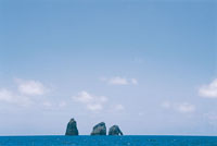 Cuando se inici el levantamiento de la cordillera de los Andes, el mar cretcico de Colombia dej unos mares aislados cuya evidencia se observa en los restos fsiles de Villa de Leyva y en las minas de sal de Zipaquir y Nemocn.