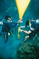 Cientficos colombianos colocando una boya para delimitar reas de proteccin del coral.