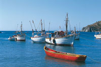 Los viejos pescadores artesanales, con sus sabios conocimientos ancestrales, continan en sus faenas y toman del mar slo lo que necesitan, sin deteriorar el medio ambiente.