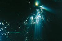 Las condiciones especficas de radiacin solar, temperatura, compuestos gaseosos de la atmsfera y el ocano, as como la disponibilidad de humedad permanente del planeta, hicieron de este asteroide un espacio habitable.
Pgina 25. La vida que comenz en