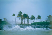 Los huracanes son caractersticos del mar Caribe, como los tsunamis del Pacfico. Ambos fenmenos se constituyen en serias perturbaciones del medio marino y causan grandes daos en las poblaciones costeras.