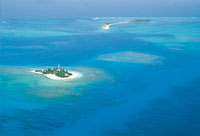 Uno de los ms representativos ecosistemas de los litorales est constituido por las playas arenosas, conformadas por sedimentos terrestres o por restos coralinos. All habitan algunas especies que se entierran para evitar la accin directa de las olas, l